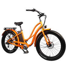2020 Hot Sell China Cheap 750W Fat Tyre 26inch Electric Bicycle